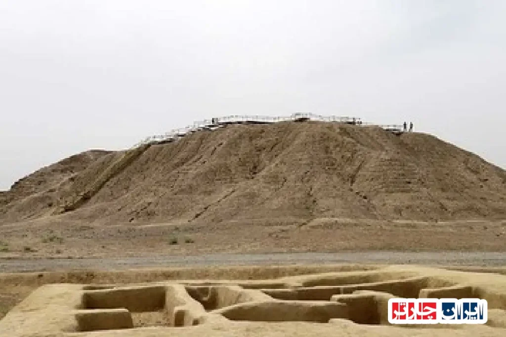نجات کنارصندل پنج هزارساله در جیرفت؛ افق نوین حفاظت از میراث فرهنگی