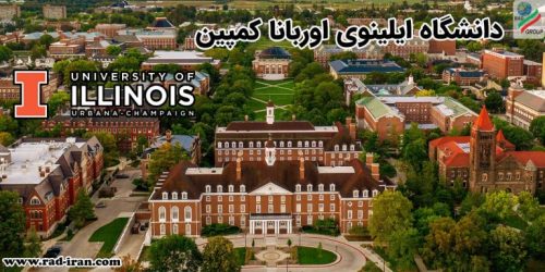 نوآوری و رشد پایدار صنایع دستی ایران برای موفقیت در بازارهای بین‌المللی